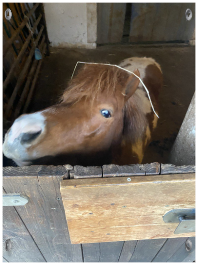 unser neuester Bewohner, Moritz